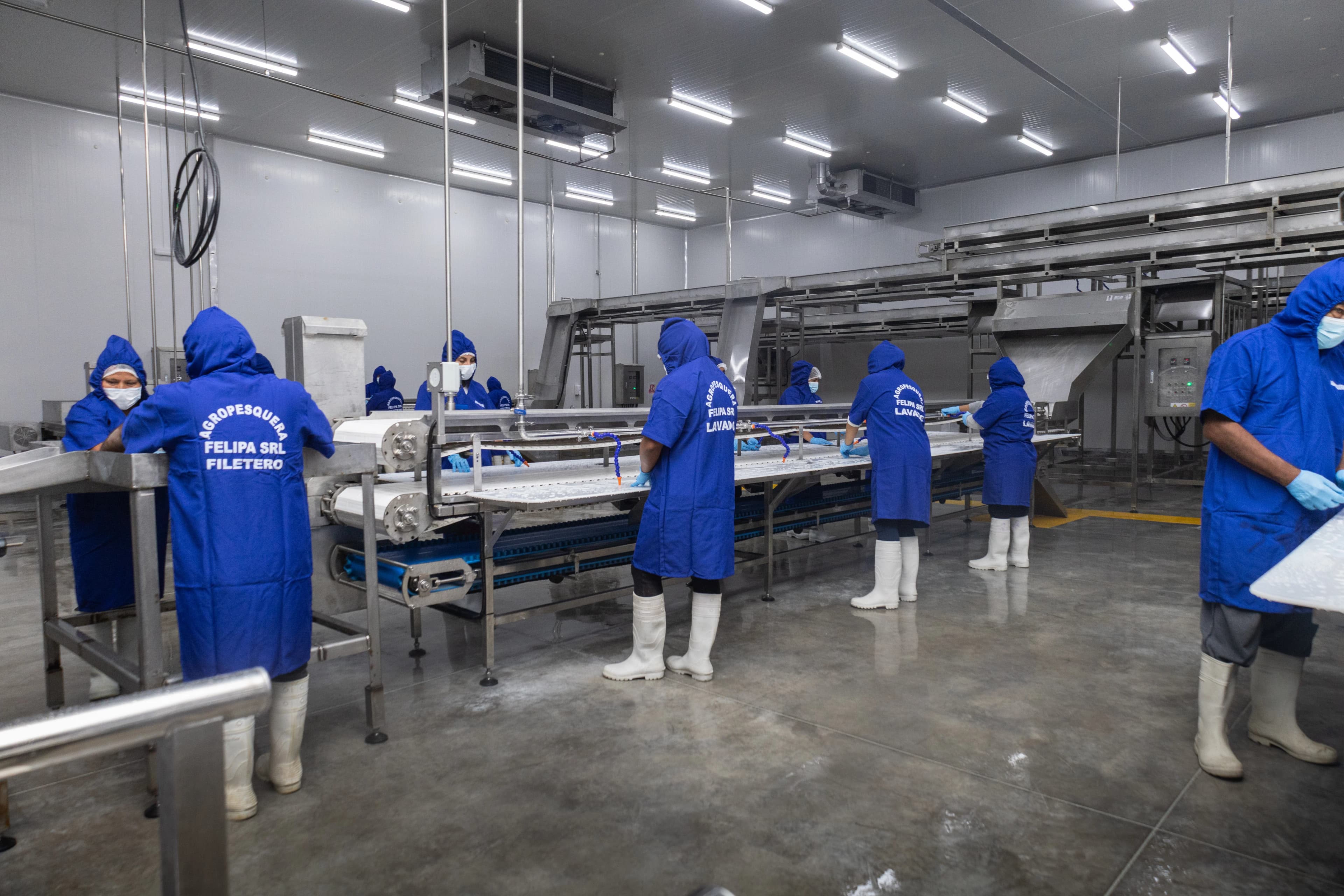 Infraestructura de Vanguardia